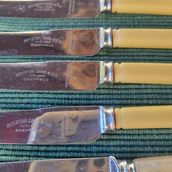 Set of Nine Sheffield Stainless Steel Faux Bone Handled Knives - Picture 6 of 9